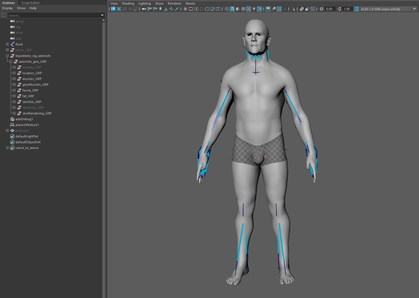AdonisFX Export Tool