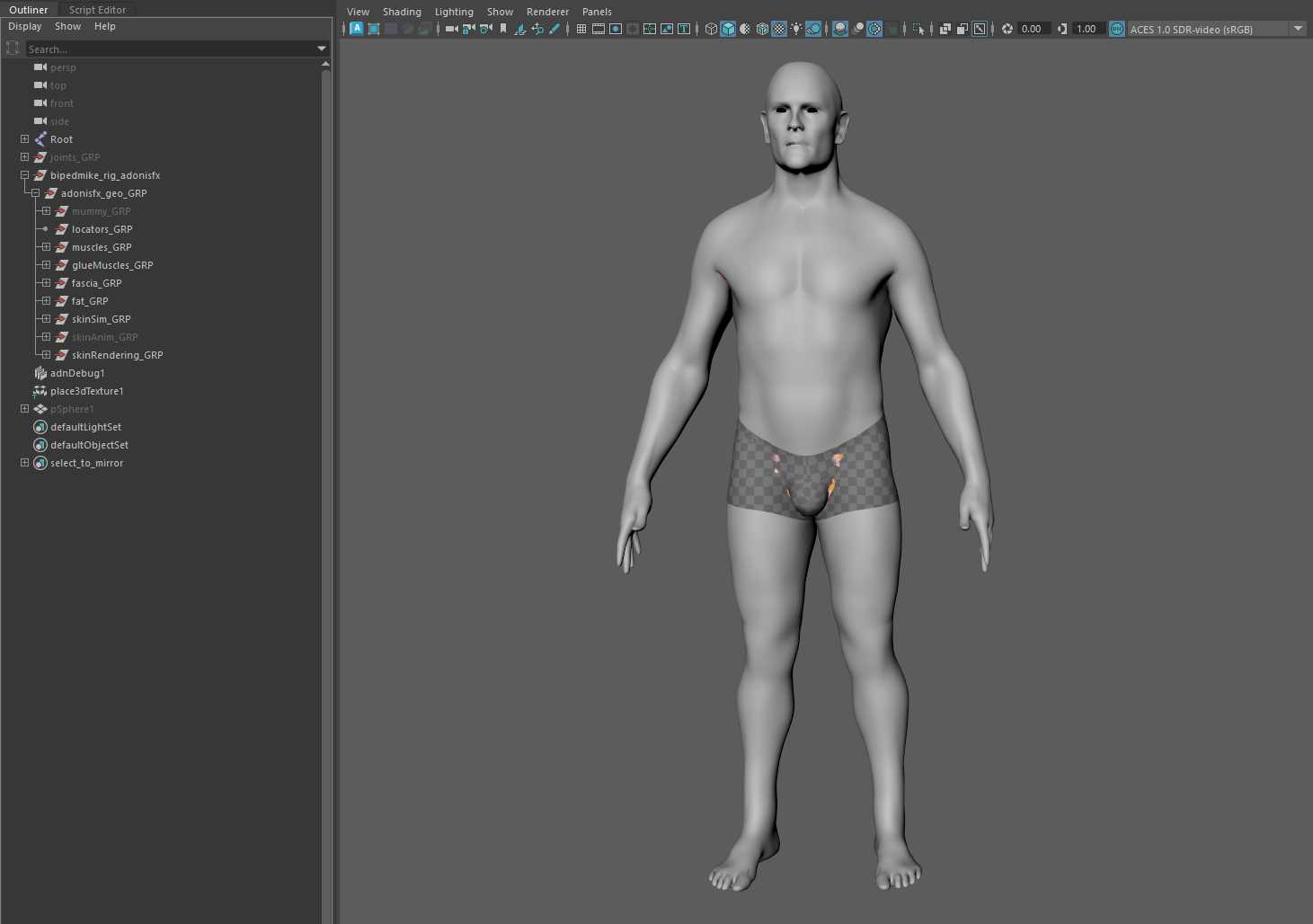Biped scene before importing