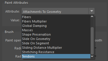 Paint Tool Muscle Attributes example