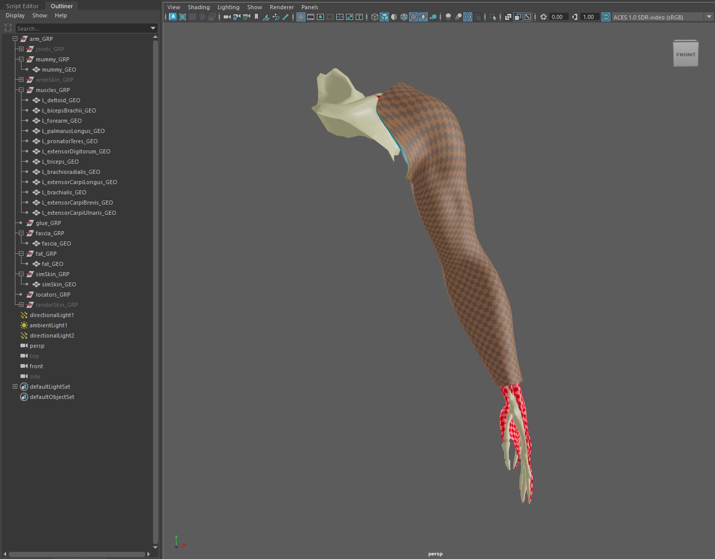 Maya Scene Ready To Execute AdnTurbo
