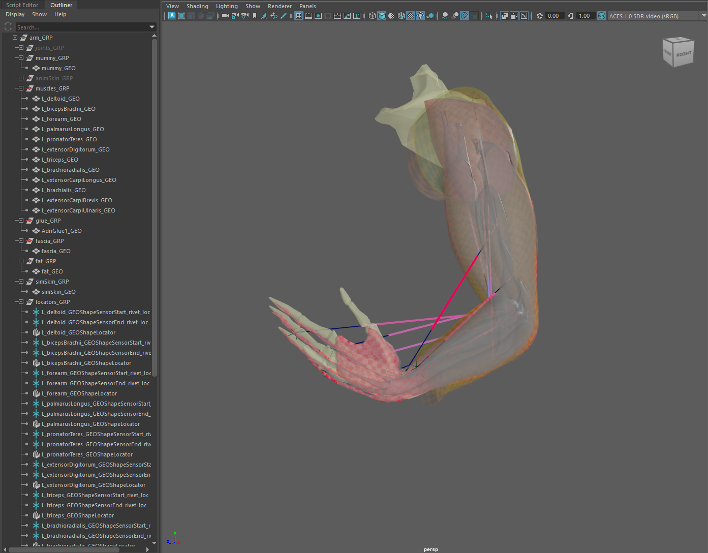 Turbo Execution Completed